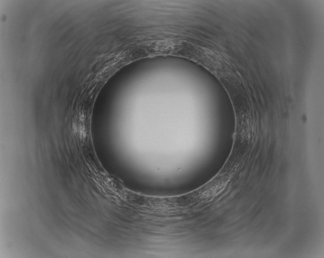 X0000067830962200604131157