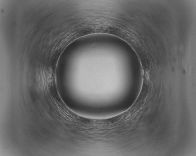 X0000067830963200604131157