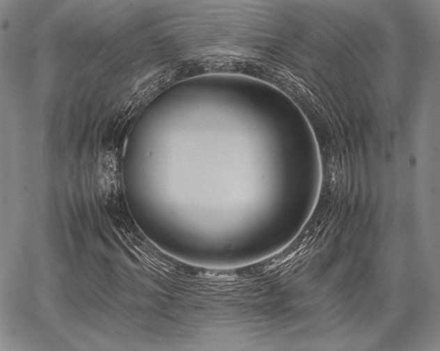 X0000067830964200604131157