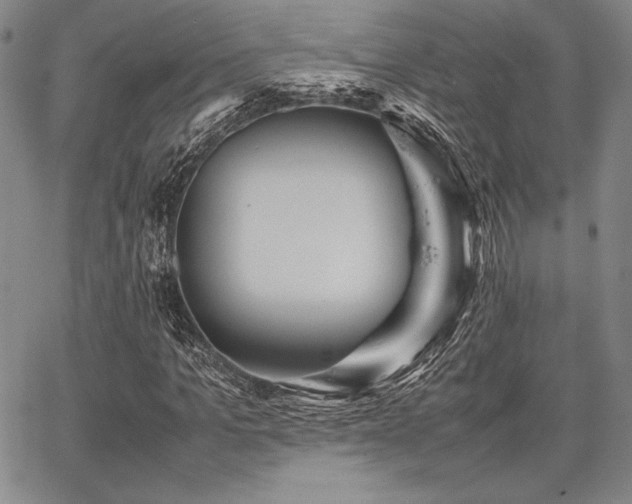 X0000067830965200604131157