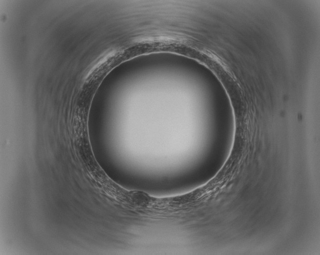 X0000067830967200604131157