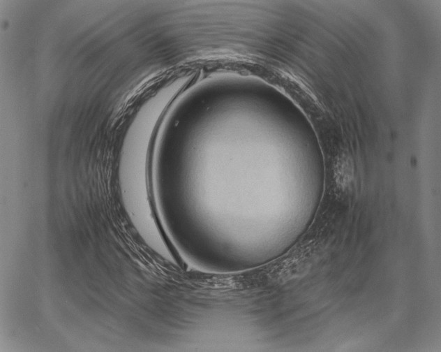 X0000067830968200604131157