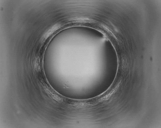 X0000067830970200604131157