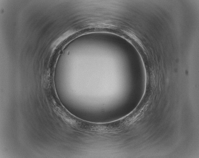 X0000067830971200604131157