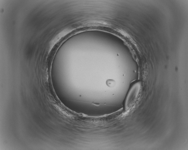 X0000067830973200604131157