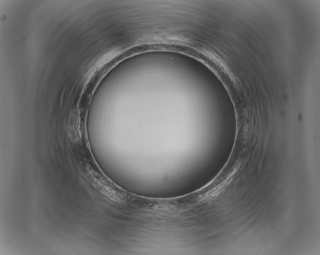 X0000067830974200604131157