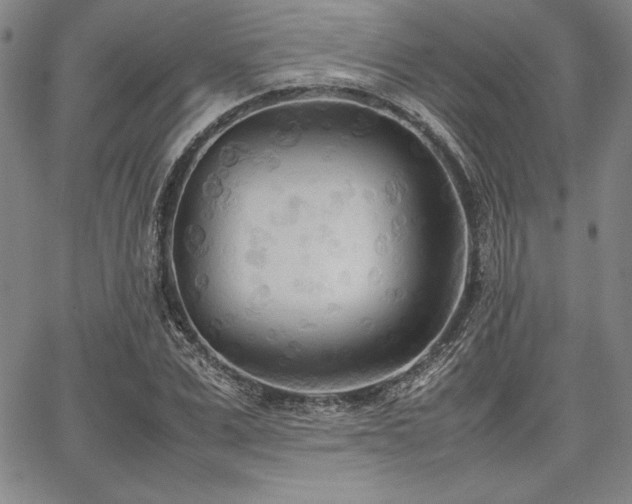 X0000067830975200604131157