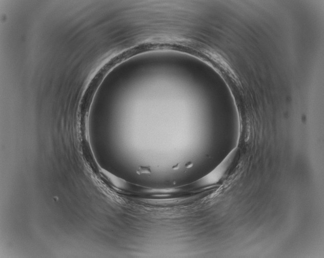 X0000067830976200604131157