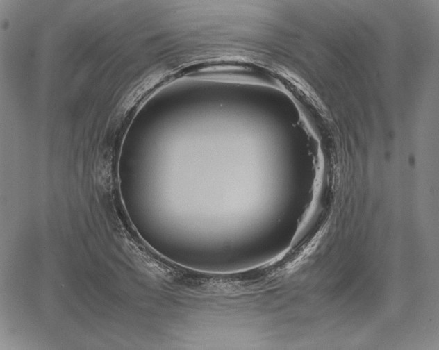 X0000067830977200604131157