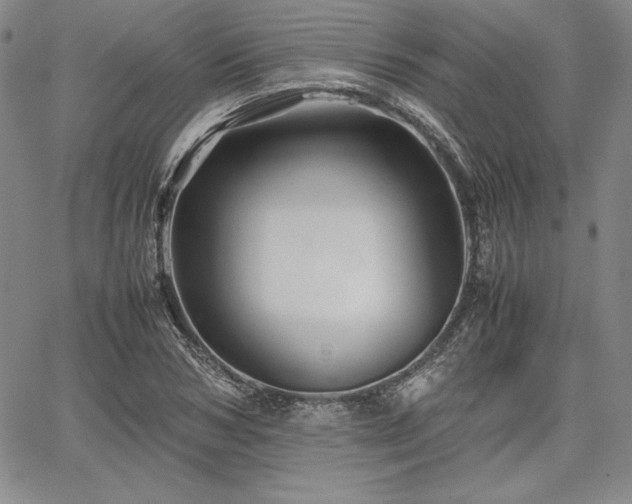 X0000067830978200604131157