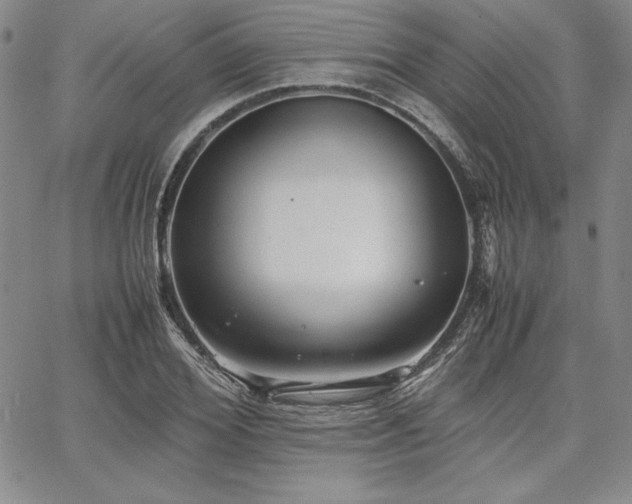 X0000067830980200604131157