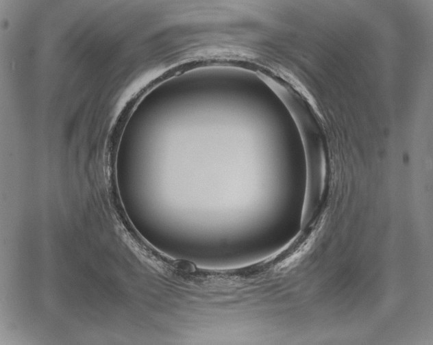 X0000067830981200604131156