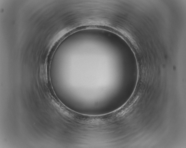 X0000067830982200604131156