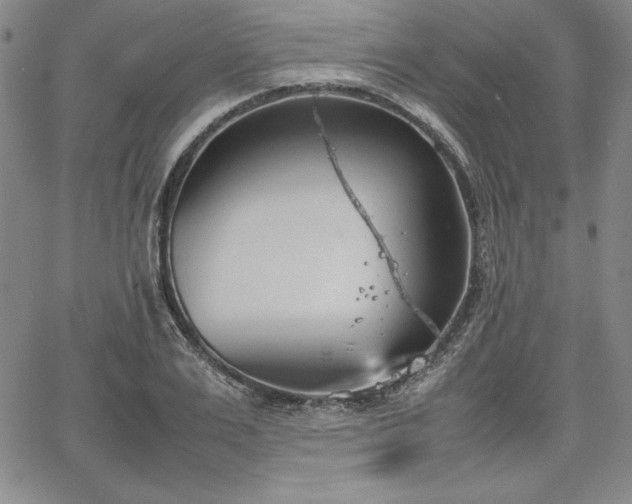 X0000067830983200604131156