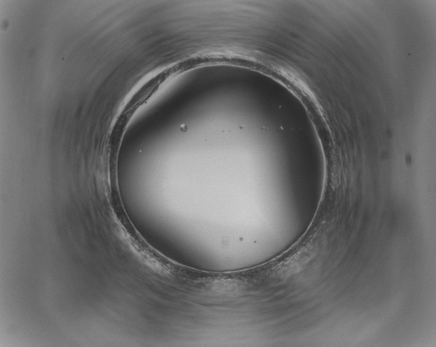 X0000067830984200604131156