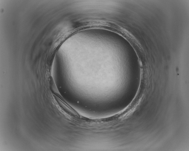 X0000067830985200604131156