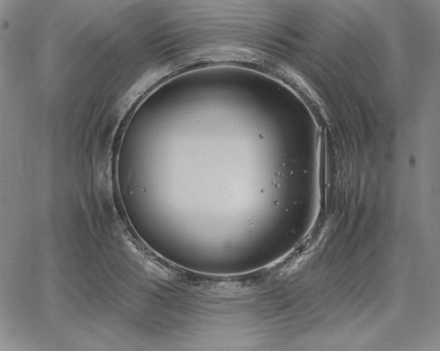 X0000067830986200604131156