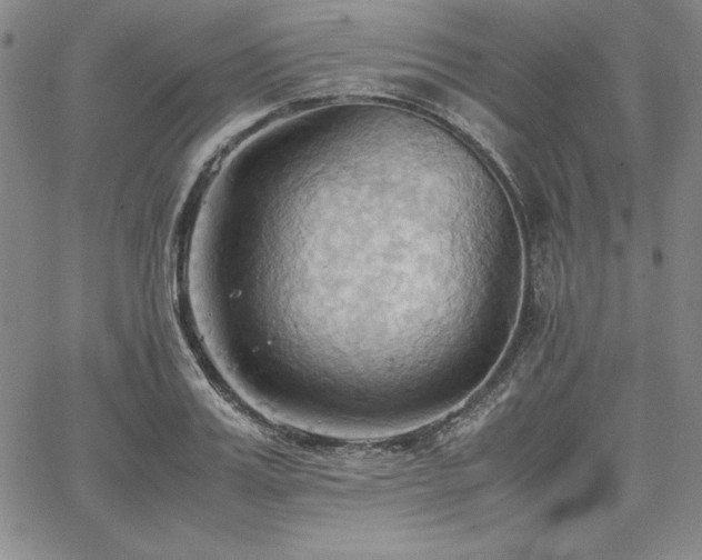 X0000067830987200604131156