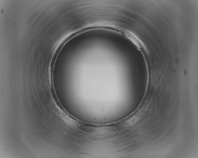 X0000067830988200604131156