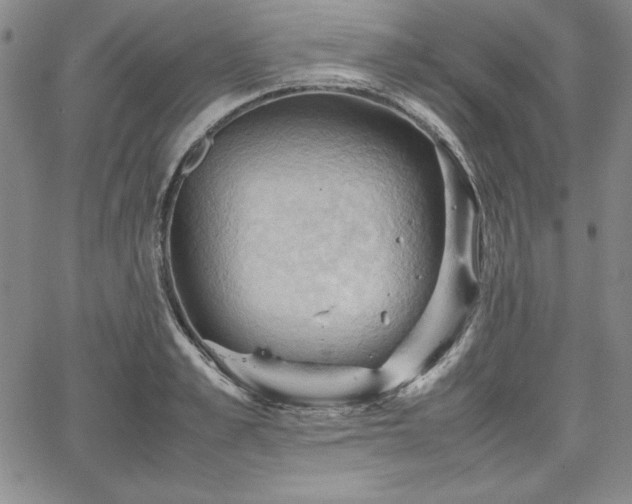 X0000067830989200604131156