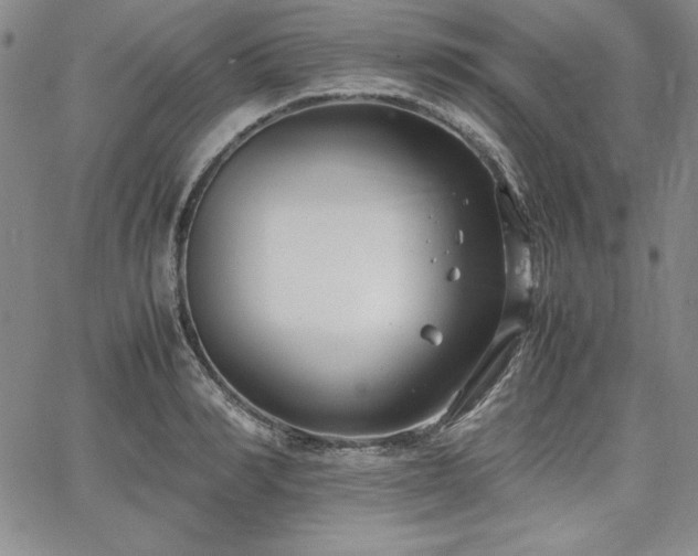 X0000067830990200604131156