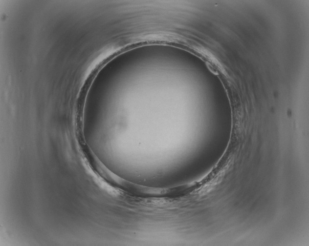 X0000067830991200604131156