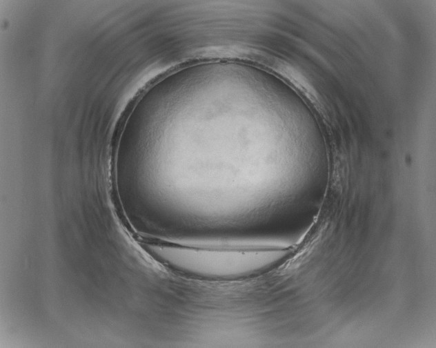 X0000067830992200604131156