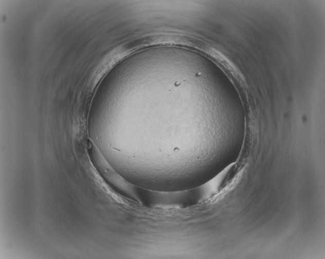 X0000067830993200604131156