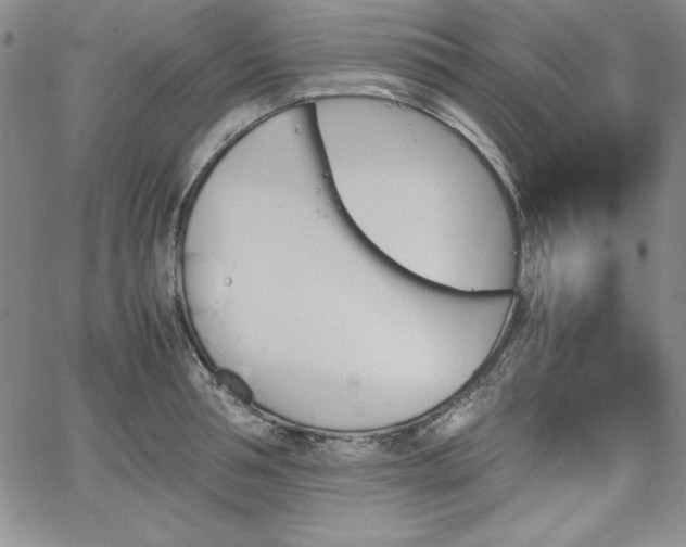 X0000067830994200604131156