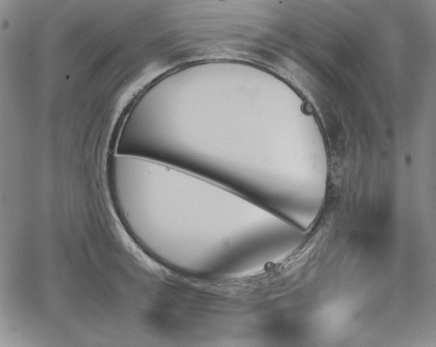 X0000067830995200604131156