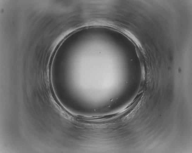 X0000067830996200604131156