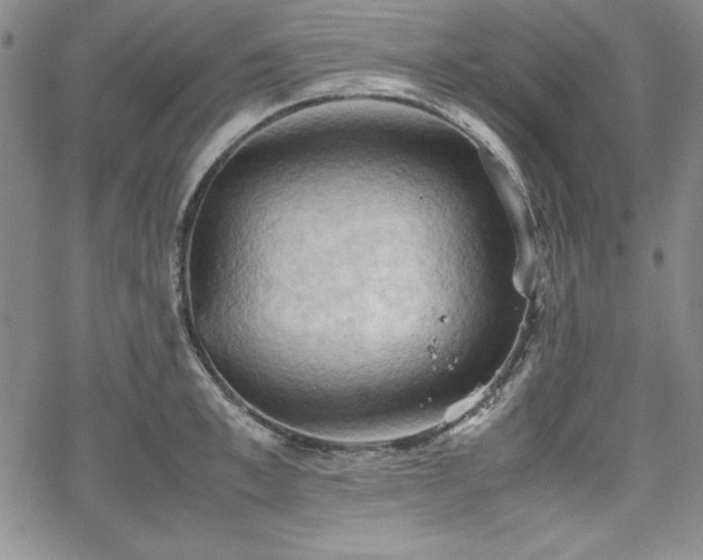 X0000067830997200604131156