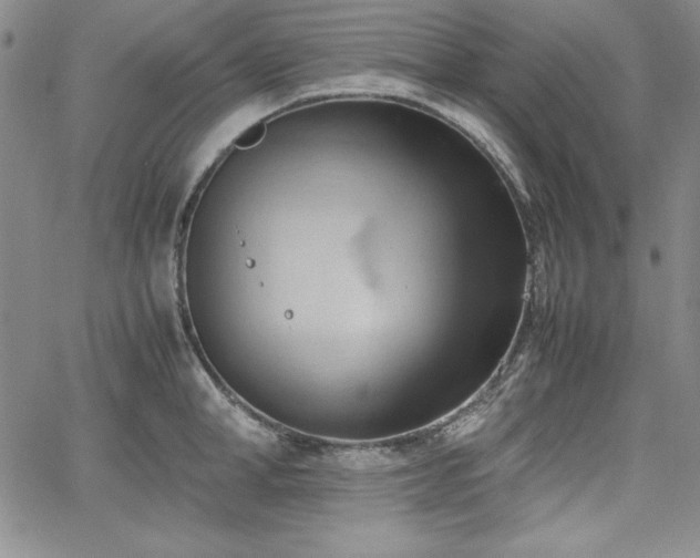 X0000067830998200604131156