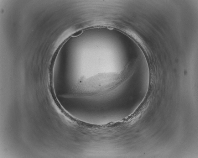 X0000067830999200604131156