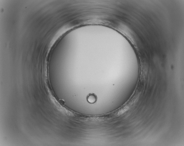 X0000067831000200604131156