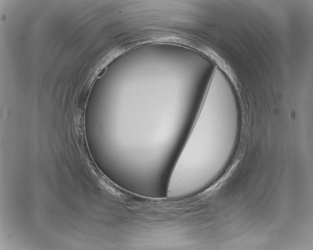 X0000067831001200604131156