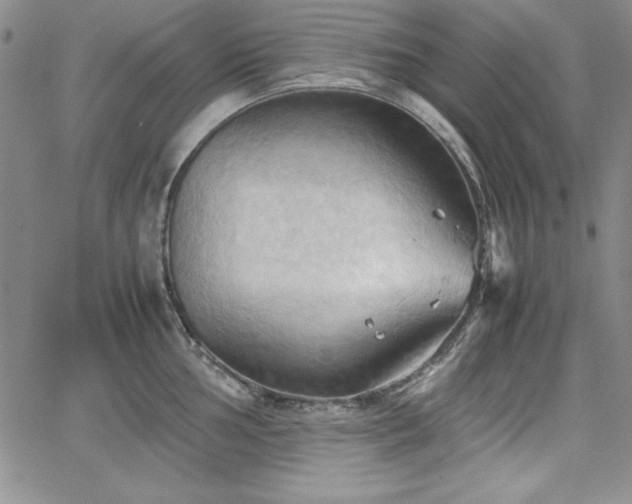 X0000067831002200604131156