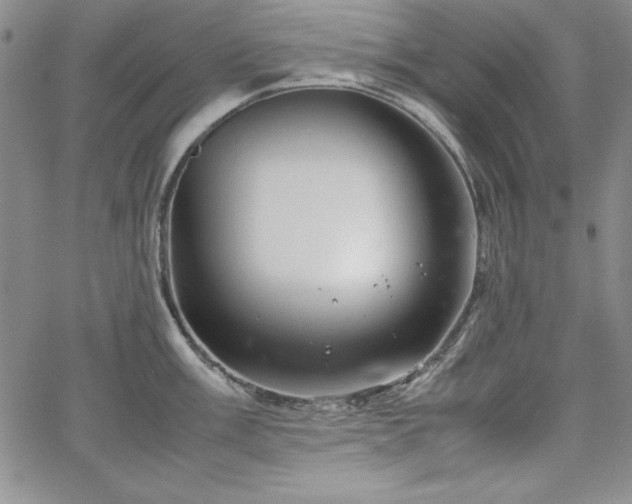 X0000067831003200604131156