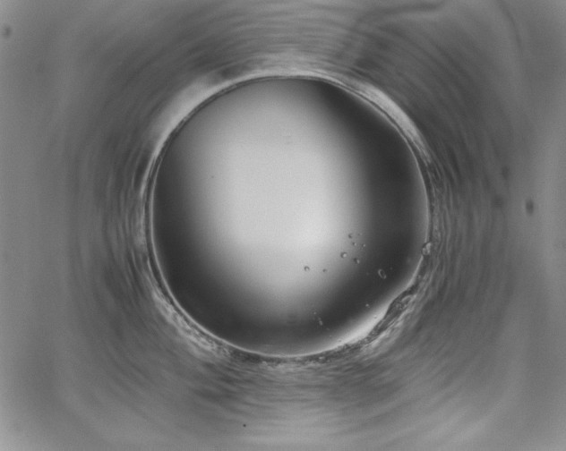 X0000067831004200604131156