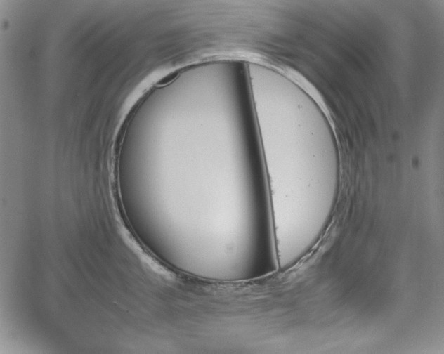 X0000067831005200604131156