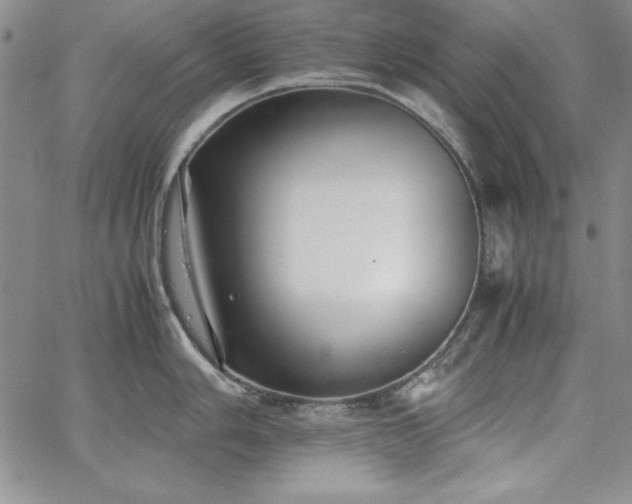 X0000067831006200604131156