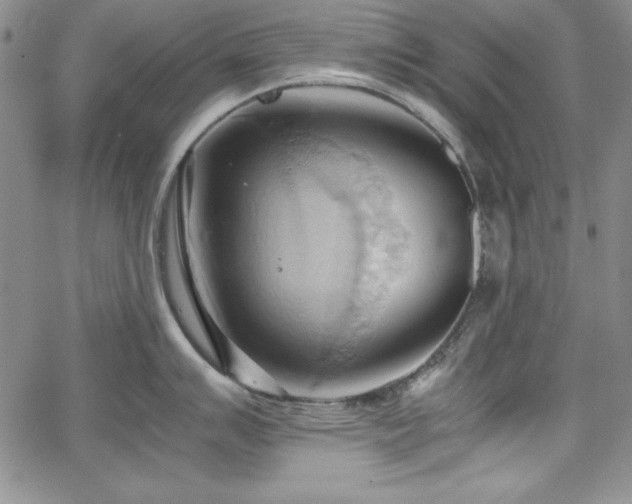 X0000067831007200604131156