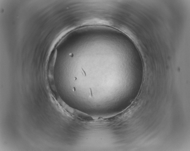 X0000067831008200604131156