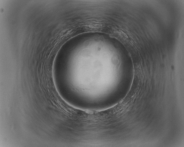 X0000067831009200604131155