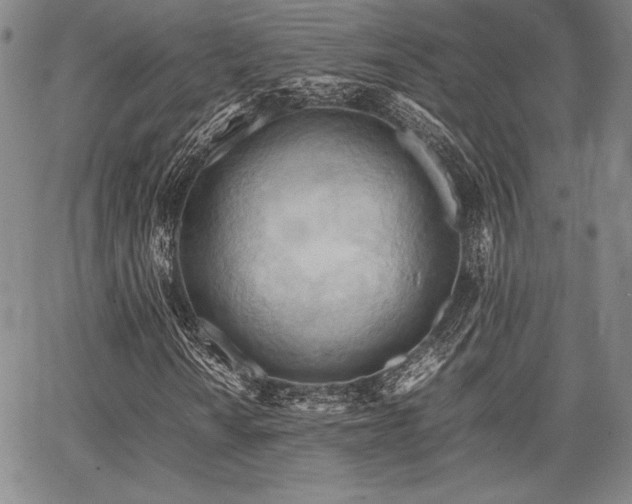 X0000067831010200604131155