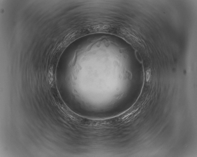 X0000067831011200604131155