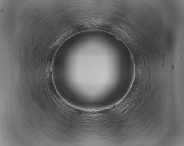 X0000067831012200604131155