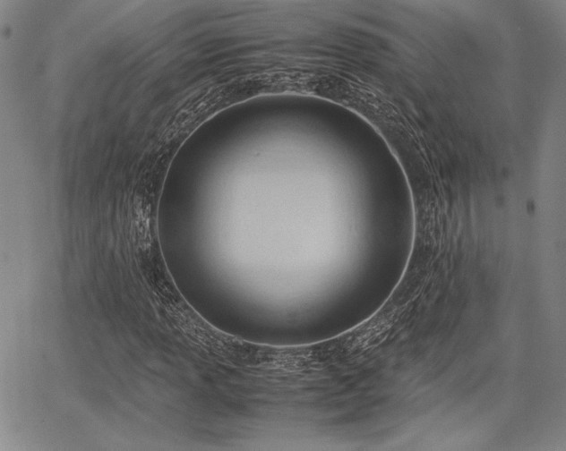 X0000067831013200604131155