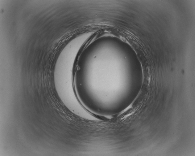 X0000067831014200604131155