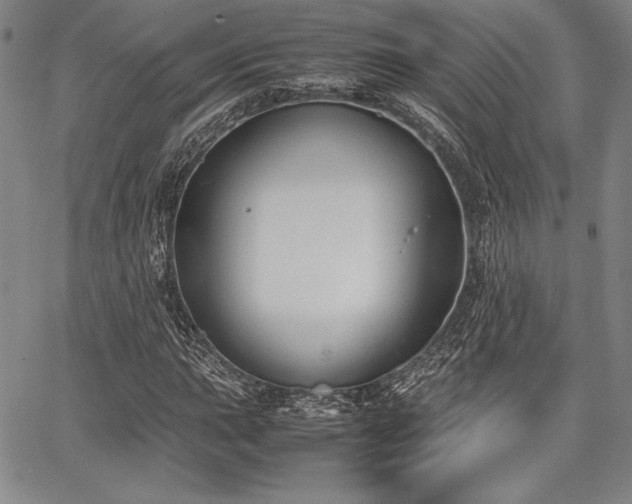 X0000067831015200604131155